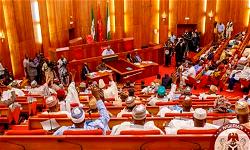 Senate passes controversial 65-yr retirement age bill for N/Assembly workers