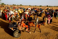 Sudan’s war has forced over 81,000 people to enter Ethiopia – UN