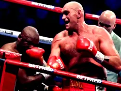 Fury to face Usyk in undisputed heavyweight title fight