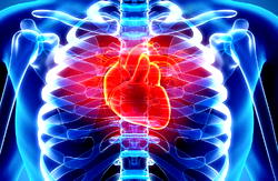 Cardiovascular diseases responsible for 11% NCD deaths in Nigeria – Minister