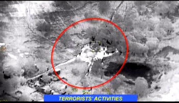 NAF airstrikes hit remnants of terrorists in Borno
