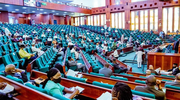 Boundary Dispute: Reps halt move to cede Adamawa territory to Cameron
