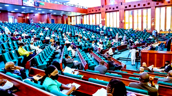 Boundary Dispute: Reps halt move to cede Adamawa territory to Cameron