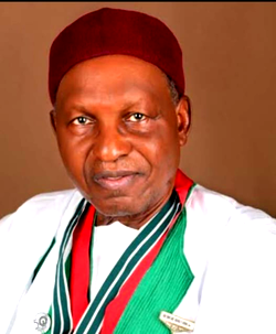 Leadership, insecurity, poverty, others stalling Nigeria’s devt — ACF