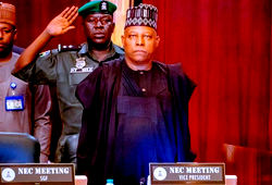 Economic stability is our priority in 2024 agenda – Shettima