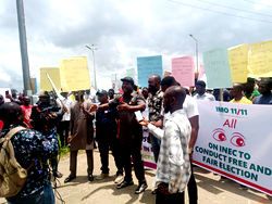 Labour Party chieftains storm Imo INEC, demand REC’s removal