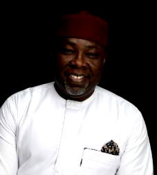 Primary Healthcare Model in African countries terribly inadequate –  Elliott Omose