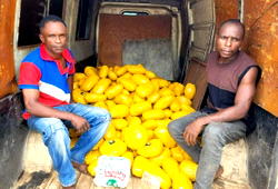 NDLEA intercepts, seizes Abuja-bound loads of Nitrous Oxide