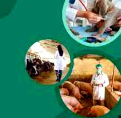 4.6b people at risk of rabies infection – WMA