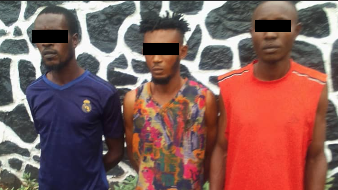 Police Arrest Three Suspected Cultists In Ogun - Vanguard News