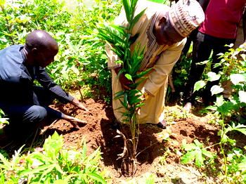 Group plants 1,400 trees to tackle climate change in Plateau communities