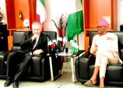 FCT to partner Italy on sustainable city, tourism, agriculture – Wike