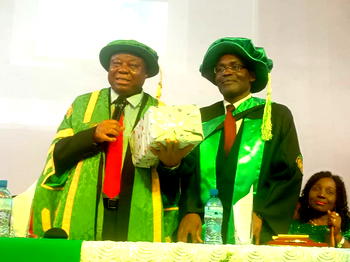 Energy Security: We can power 774 LGAs in Nigeria within 24 months – UNN don