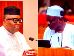Drama in Senate as Ndume stages walkout after clash with Akpabio