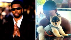 Missing dog: Former Chelsea striker Daniel Sturridge wanted by police