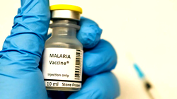 WHO recommends malaria vaccine for Nigeria, others