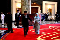 Malaysia picks Sultan Ibrahim to be next king