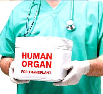 Organ Trafficking: Risks, burden, legislation, way out for Nigeria