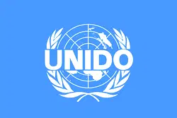 UNIDO tasks FG on support for local manufacturing 