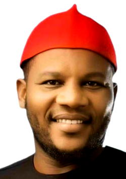 Abia election: I didn’t take Kalu to tribunal, A/Court – AA Reps candidate, Igbokwe