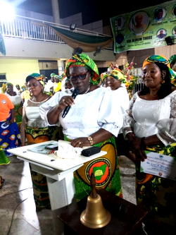 Akinadewo emerges new WOWICAN chair, seeks peace, development
