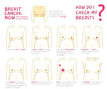 Breast cancer, leading cause of death among women in Nigeria – BRECAN