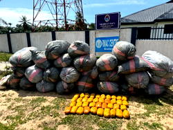Navy hands over cannabis sativa valued N35m to NDLEA in Badagry