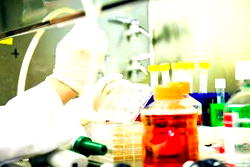 Genotype test inadequate for diagnosis of sickling status — IMDA