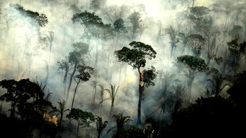 World ‘failing’ on pledge to stop deforestation by 2030