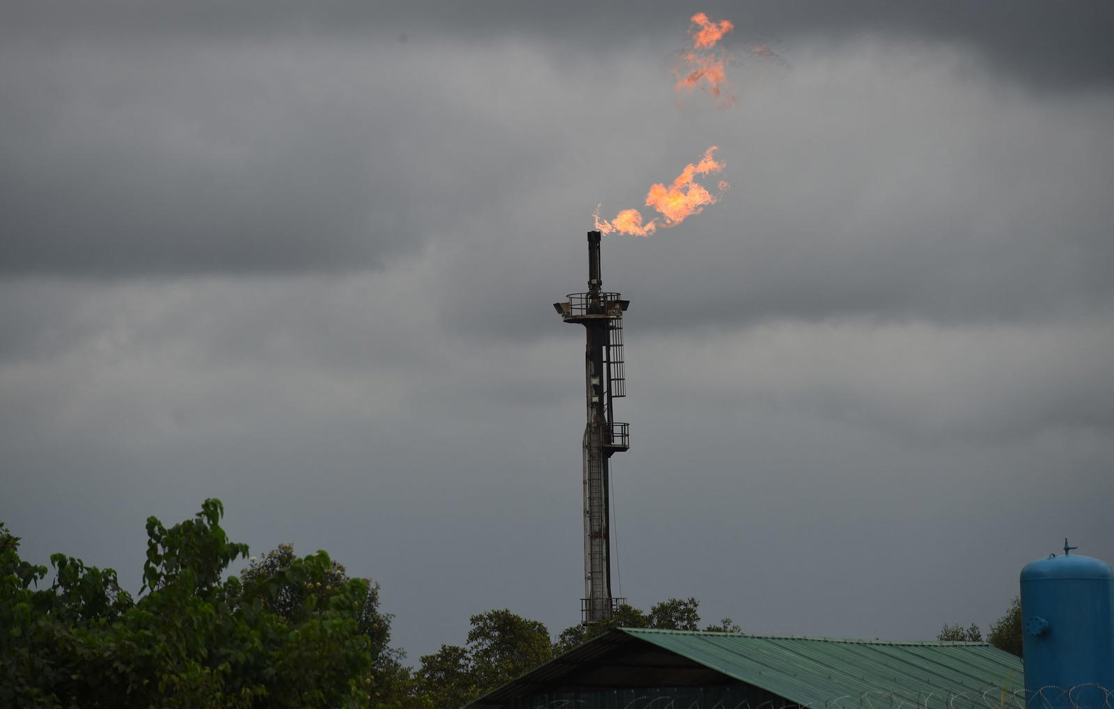 Group flays exclusion of South-East, South-South in national gas plan