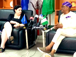 EU report, inaccurate reflection of 2023 polls — Wike