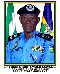Police arrest 537 criminal suspects in Borno