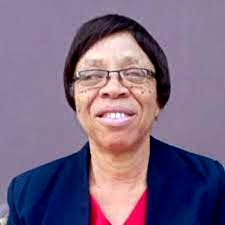 How ‘Japa’ Syndrome cripples research, academic activities — Babalola
