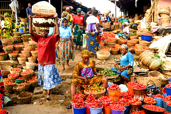 Food production: FG, states’ synergy gives hope – Kyari