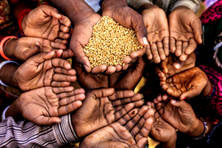 Nigeria among nine countries to experience worsening hunger – Report