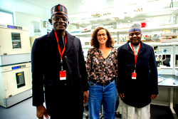 Yobe Govt, London Research Institutes To Sign MoU on Kidney Disease, Research Promotion 