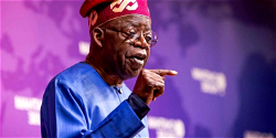 2024 budget: Tinubu to address N/ Assembly joint session Wednesday