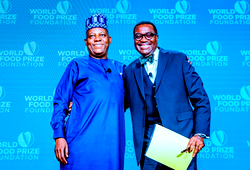 AfDB, partners inject $1bn to fund Nigeria’s SAPZs
