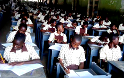 144 public secondary school students trained on crop planting methods in Oyo