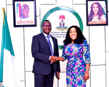 Humanitarian Trust Funds: Edu rallies Support from Private Sector, engages Chevron, MTN, others