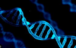 Faulty DNA major cause of cancers in children — Oncologist