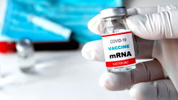 Nobel prize goes to mRNA Covid vaccine researchers