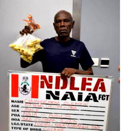 NDLEA nabs 67-year-old at Abuja airport for ingesting 100 wraps of Cocaine