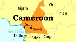 Separatists kill 14 in Cameroon