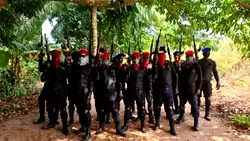 Insecurity: The chilling discoveries in South East forests