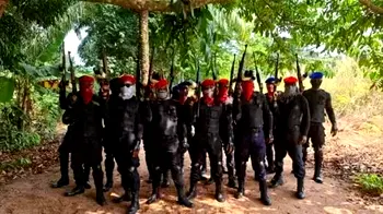 Insecurity: The chilling discoveries in South East forests