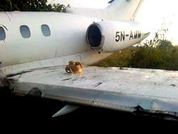 One dead as plane hits car