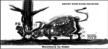 Cartoon: ‘Calm down! I have soaked the garri, sorry Naira, it’ll soon rise’