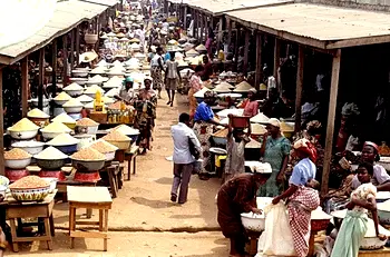 7 dangers of Nigeria’s worsening economic conditions in 2024 