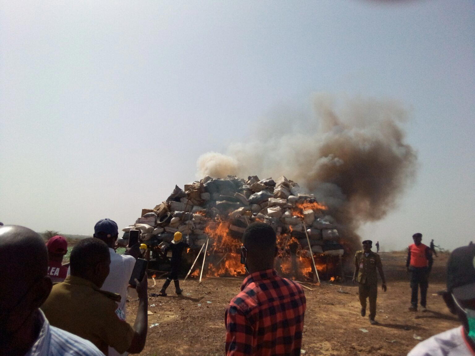 NDLEA destroys 15.7 tonnes of illicit drugs in Kano - Vanguard News